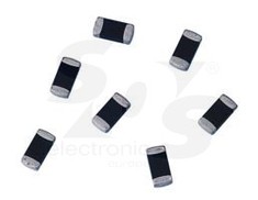 B72540V0300K062 (CN2220K30G)